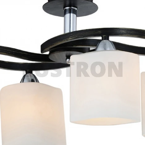 Потолочная люстра IDLamp Gabriella 859/4PF-Dark