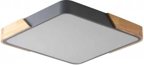 Потолочный светильник Zortes Alberro ZRS.01288.24 (LED, 220V)