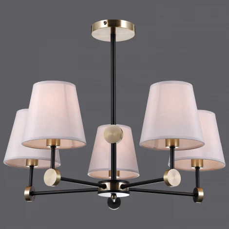 Потолочная люстра на штанге ILLUMICO IL0394-5CSQ-24 BK AB CASTOR (220V)