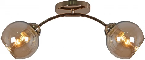 Потолочная люстра Reluce 01538-0.3-02 FGD (220V)