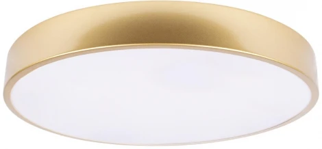 Потолочные светильники Loft It Flims 10228/A (LED, 220V, круглые)