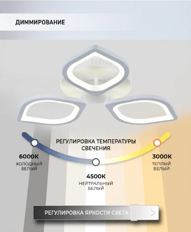 Потолочная люстра Seven Fires Lorea SF5019/3C-WT