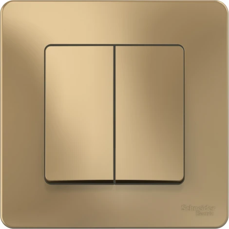 Выключатель встраиваемый двухклавишный (титан) Systeme Electric Blanca BLNVS106604
