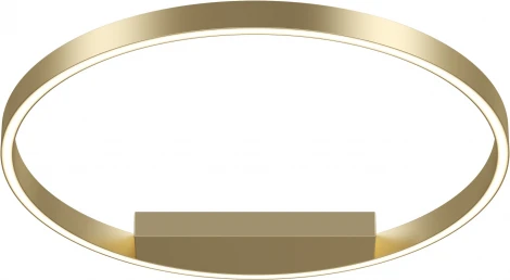 Потолочный светильник круглый светодиодный Rim MOD058CL-L35BSK Maytoni (220V, кольцо)