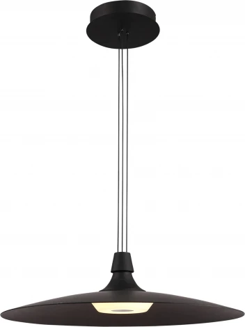Подвесной светильник светодиодный с пультом Lightstar Emisfero 737427 (220V, на тросе)
