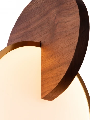 Подвесной светильник Loft IT Eclipse 9970C (LED, 220V, на проводе)