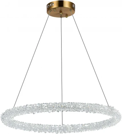 Подвесной светильник Avana SL6110.213.01 ST Luce (регулировка яркости, LED, 220V, пульт управления, на тросе, кольцо)