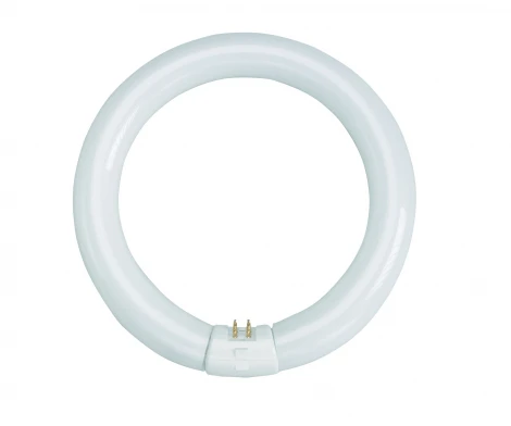 Лампочка люминесцентная кольцевидная белая G10q 22W 220V белое свечение MarkSlojd Cirkellysror 472612
