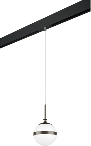 Трековый светильник однофазный 220V Lightstar Globo PRO813117 (шар)
