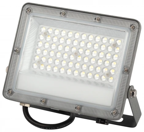 Прожектор уличный светодиодный ЭРА LPR-06 LPR-063-0-65K-050