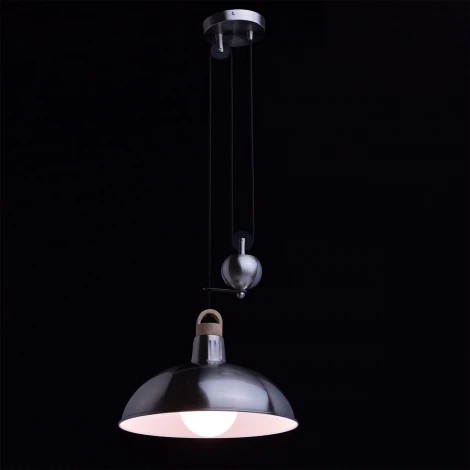 Подвесной светильник DeMarkt Хоф 497014401