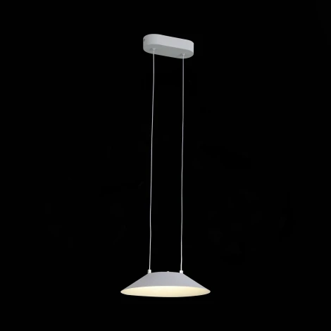 Подвесной светильник ST Luce Pitto SL427.503.01