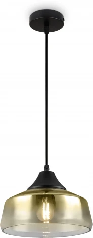 Подвесной светильник Maytoni Jiffy FR5188PL-01G Freya