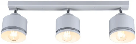 Спот Imex SP.025-53-80 (220V)