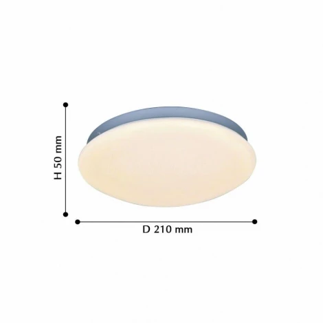 Потолочный светильник F-Promo Ledante 2467-2C