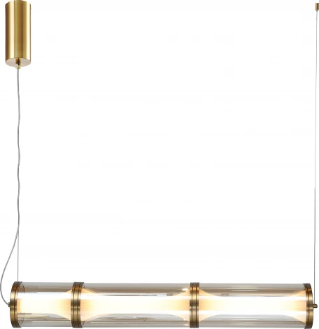 Подвесной светильник Favourite Bones 4244-3P (LED, 220V, на тросе, круглые)