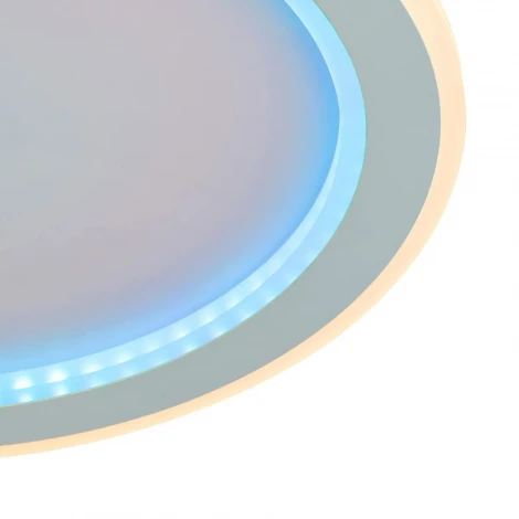 Потолочный светильник светодиодные с ПДУ F-Promo Lema 4697-4C