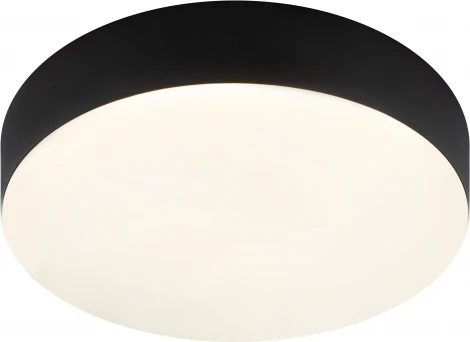 Потолочный светильник круглый светодиодный ЭРА Relict 22 SPB-6-20 4К BK (220V, круглые)