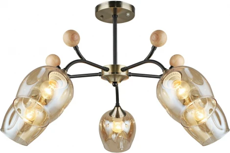 Потолочная люстра на штанге Reluce 02009-0.3-05 AB+BK (220V)