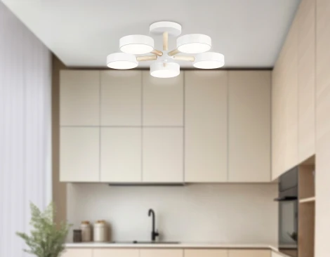 Потолочная люстра на штанге светодиодная с пультом Ambrella Comfort FL4825 (регулировка яркости, 220V, круглые)