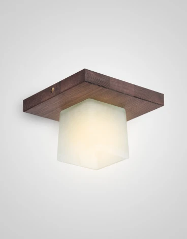 Потолочный светильник прямоугольный Мелодия Света SS1N 000036808