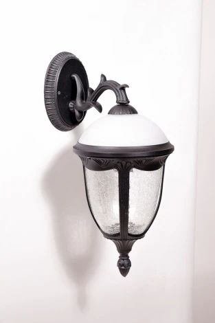 Уличный настенный фонарь Oasis Light St.LOUIS L 89102L/15 Bl мат/тр