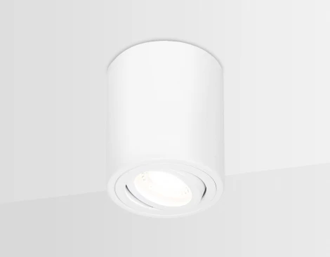 Накладной точечный светильник Ambrella Techno Spot TN225 (220V, круглые)