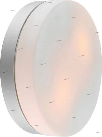 Потолочный светильник Arte Lamp Aqua-tablet A3211PL-2SI