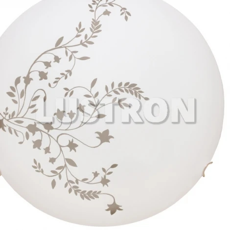 Настенно-потолочный светильник Arte Lamp Ornament A3820PL-2CC