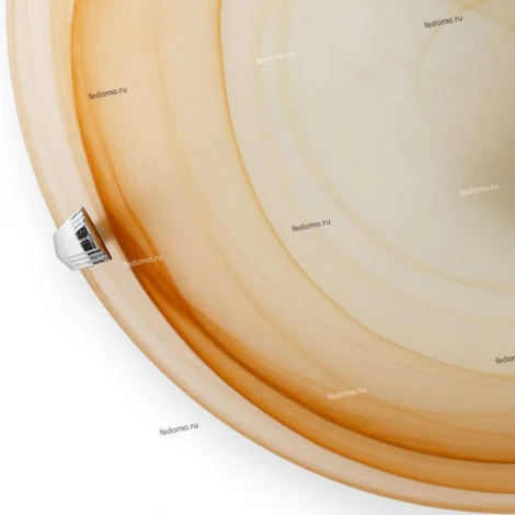 Настенно-потолочный светильник Toplight Irma TL9071Y-02BE