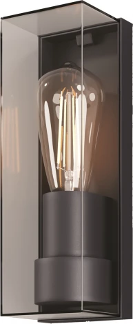 Настенный уличный светильник Maytoni Conf O450WL-01GF (220V, IP65)