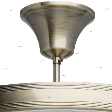 Потолочная люстра MW-Light Афродита 317013705