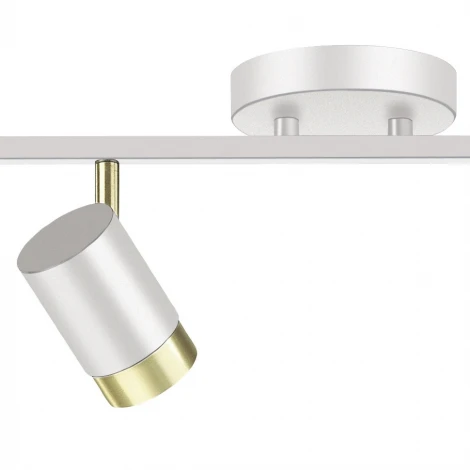 Спот Lumien Hall Sauris LH8020/4C-WT-GD