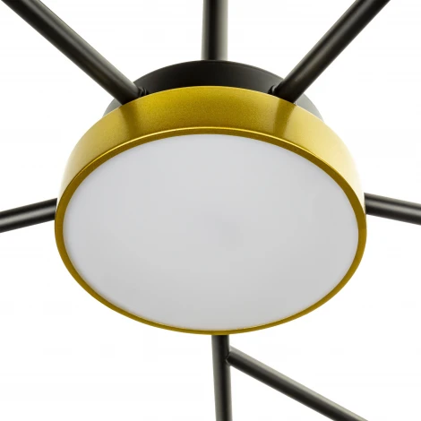 Потолочная люстра на штанге светодиодная Ritter Notte 51596 2