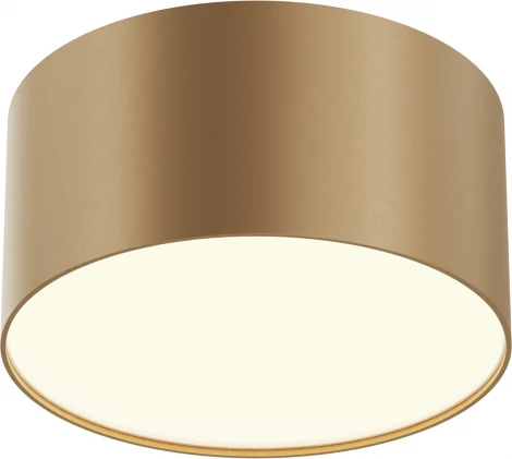 Потолочный светильник круглый Maytoni Zon C032CL-12W3K-RD-MG (LED, 220V, круглые)