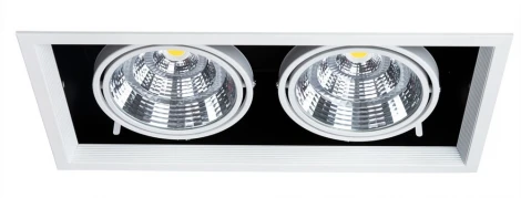 Встраиваемый точечный светильник Arte Lamp Merga A8450PL-2WH (LED, 220V)