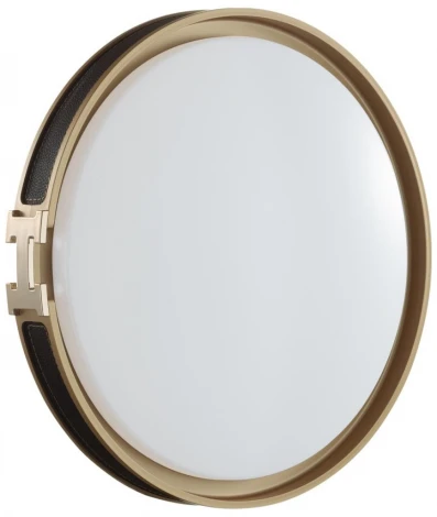 Настенно-потолочный светильник Sonex Favemo Black 7667/EL пластик/черн/золот LED 70Вт 3000-6000К D505 IP43 пульт ДУ (220V, круглые)