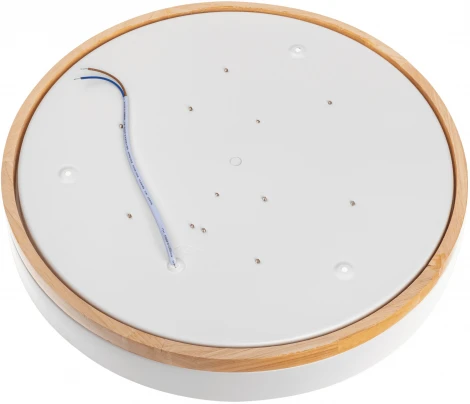 Светильник потолочный светодиодный Ritter Snello 51623 5