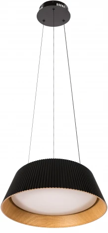 Подвесной светильник Loft It Evans 10224P Black (LED, 220V, на тросе, круглые)
