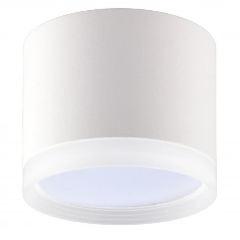 Накладной светильник Ritter Arton 59946 3