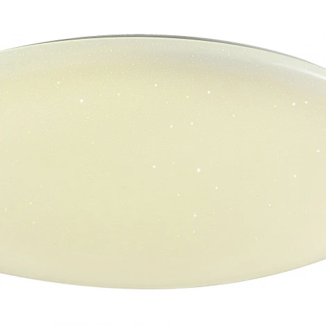 Потолочный светильник F-Promo Luna 2319-10C