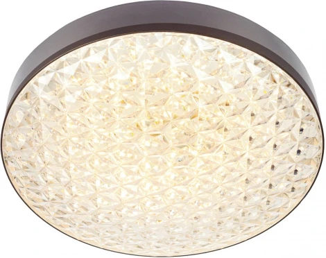 Настенно-потолочный светильник Мелодия Света CW1L 000024759