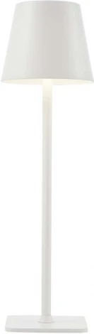 Настольная лампа с аккумулятором F-Promo Pyari 4614-1T (LED, 220V)