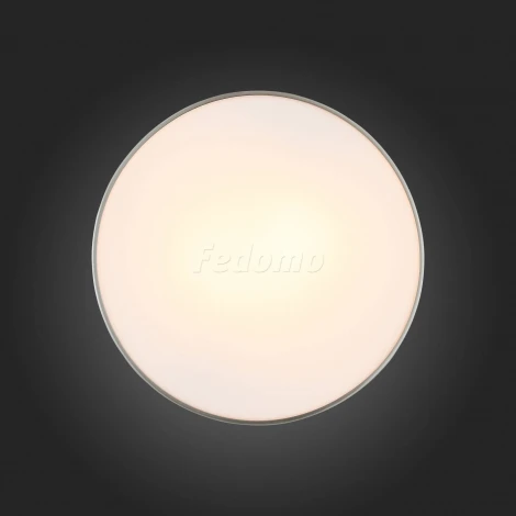 Настенно-потолочный светильник ST Luce Bagno SL468.502.02