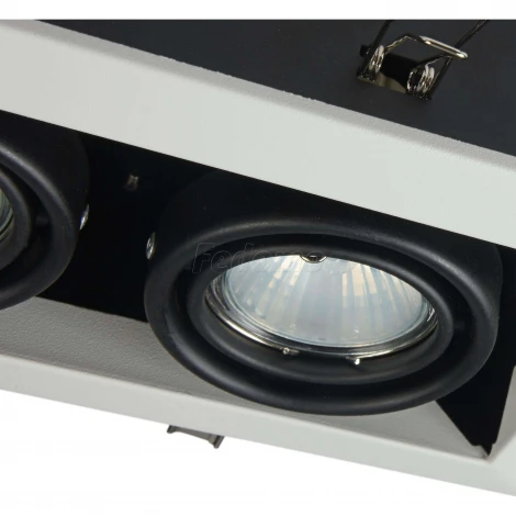 Встраиваемый светильник Metal Modern GU10 2x50Вт Maytoni Technical DL008-2-02-W (220V)