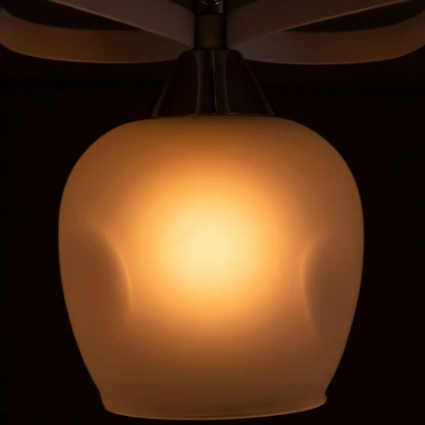 Потолочная люстра Citilux Сюзи CL171133