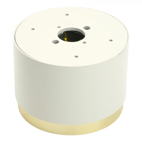 Потолочный светильник Feron HL459 52022