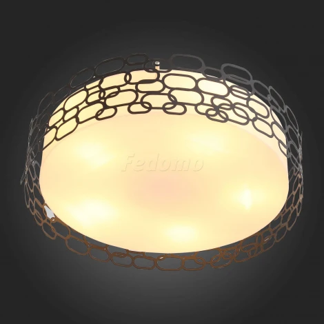 Потолочный светильник ST Luce Ciatura SL304.402.05