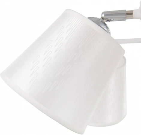 Потолочная люстра на штанге Arte Milano Napoli-0806 330806/5 WT+CR (220V)