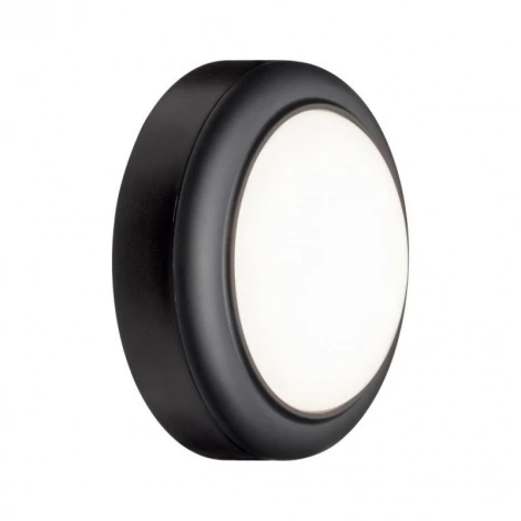 Настенный светильник уличный Paulmann Wall Luminaire 94119